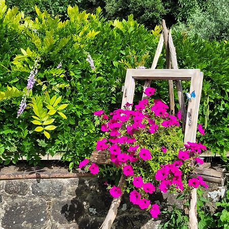 그레베 인 키안티 La Casa Nel Chianti 아파트 외부 사진