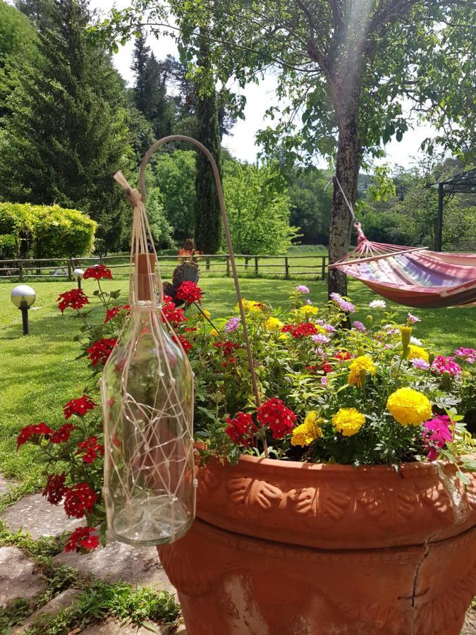 그레베 인 키안티 La Casa Nel Chianti 아파트 외부 사진