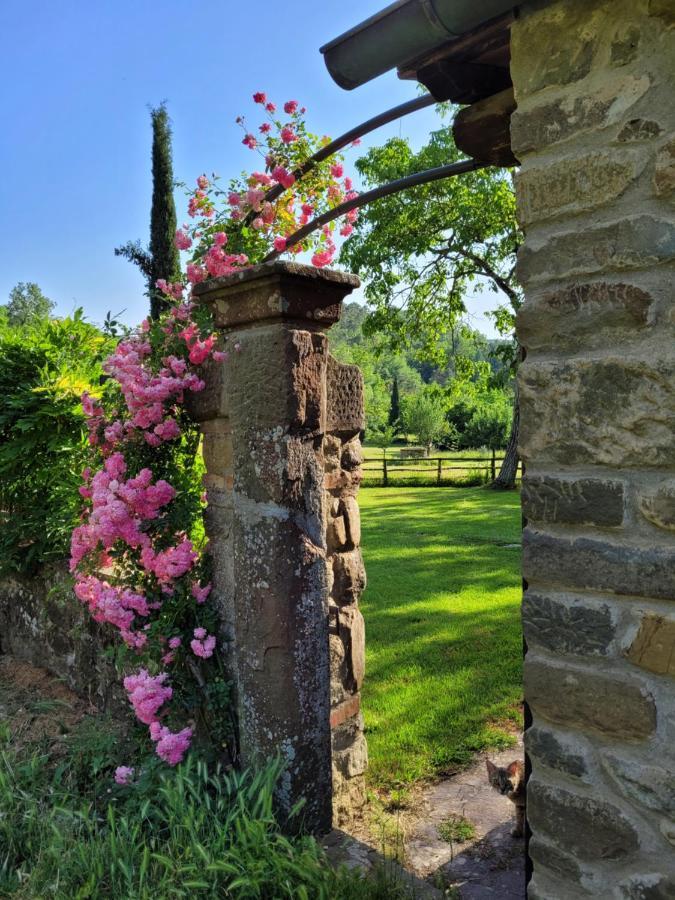 그레베 인 키안티 La Casa Nel Chianti 아파트 외부 사진
