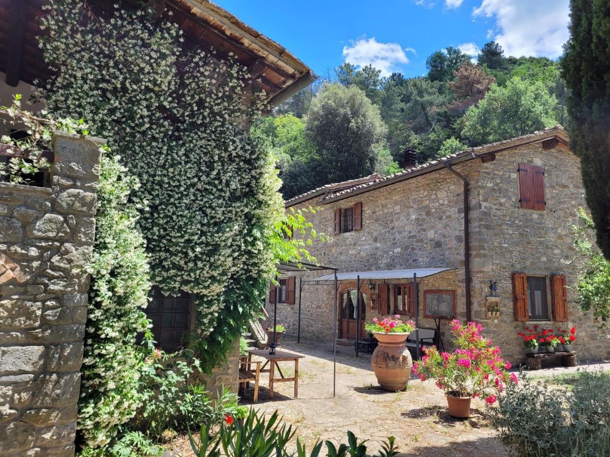 그레베 인 키안티 La Casa Nel Chianti 아파트 외부 사진
