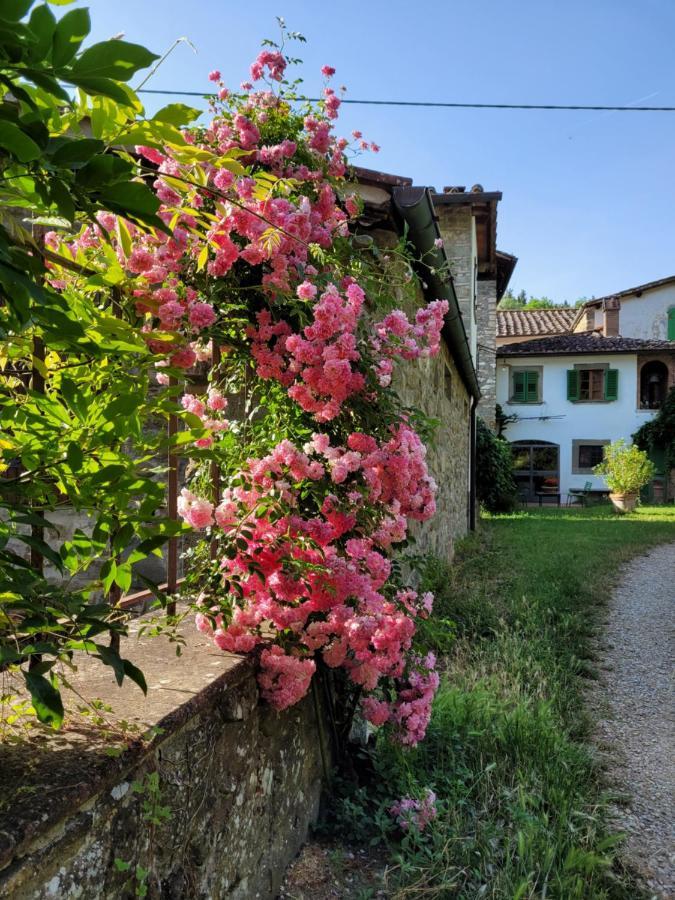 그레베 인 키안티 La Casa Nel Chianti 아파트 외부 사진
