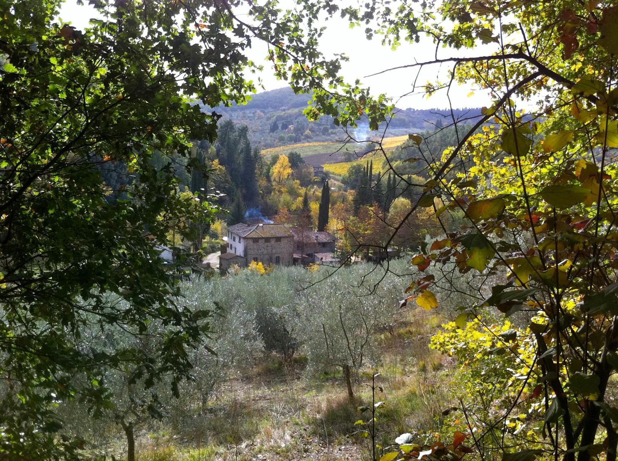 그레베 인 키안티 La Casa Nel Chianti 아파트 외부 사진