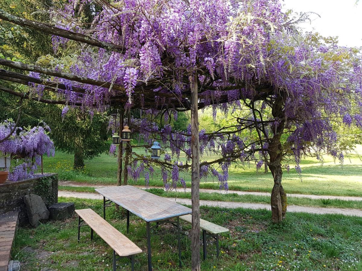 그레베 인 키안티 La Casa Nel Chianti 아파트 외부 사진